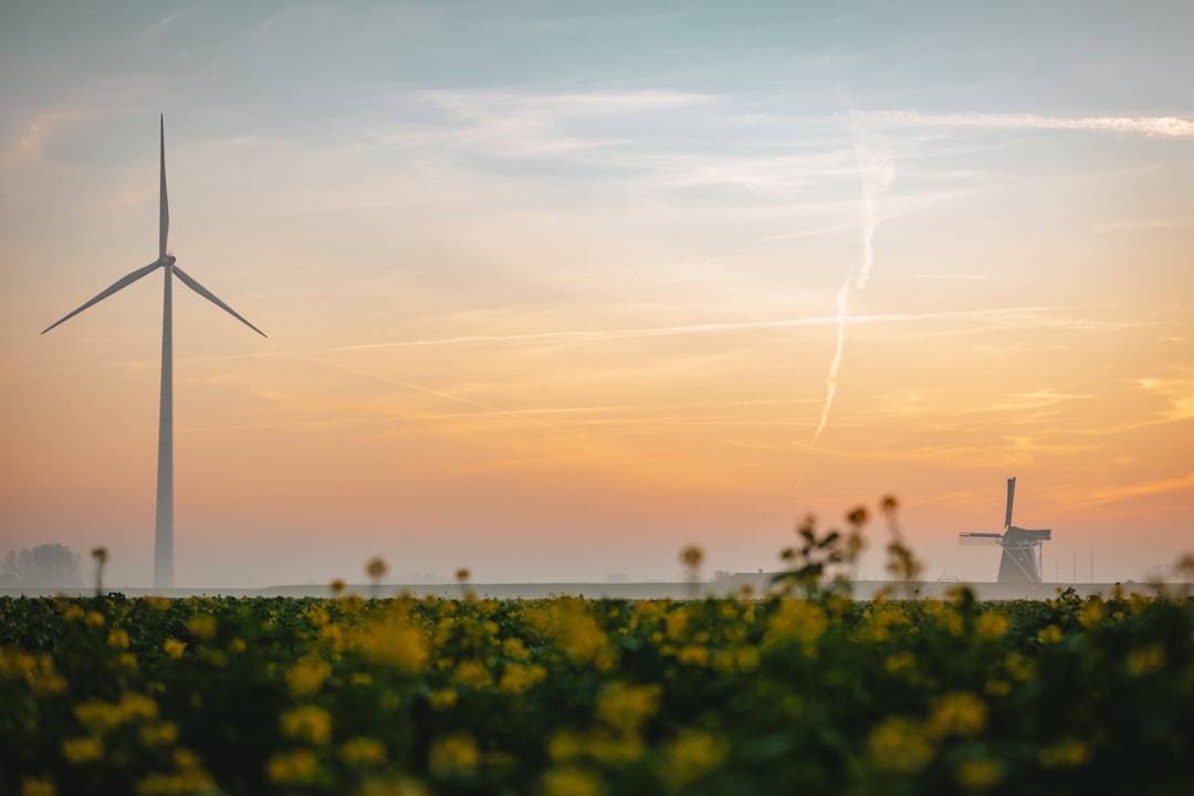 A fog creates a mysterious atmosphere over a Dutch countryside farm field. An old windmill and a modern wind turbine stand in harmony, symbolizing the blend of traditional and modern technology in sustainable energy production.